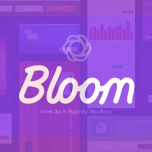 Bloom-plugin-wparadox