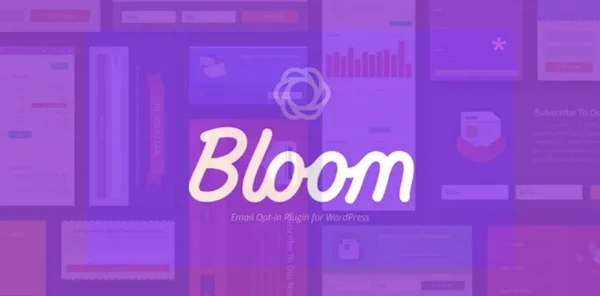 Bloom-plugin-wparadox